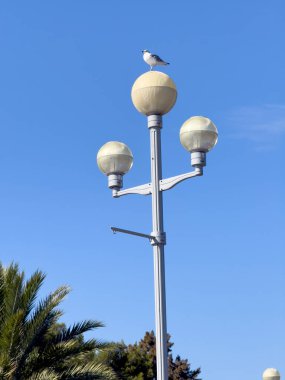 Castle Hill 'in tepesinden Old Nice manzarası. Cte dAzur boyunca bir yolculuk