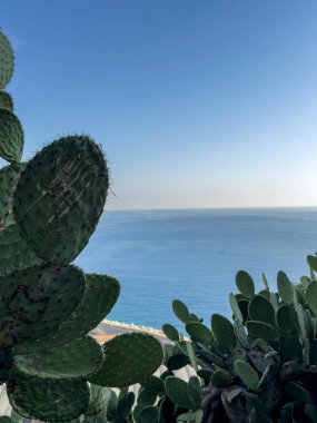 Castle Hill 'in tepesinden Old Nice manzarası. Cte dAzur boyunca bir yolculuk