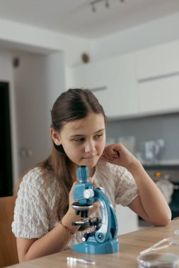 Okul çağındaki kız evde mikroskop kullanarak masada oturuyor, odaklanmış ve meraklı, evde eğitim, fen eğitimi, öğrenim.