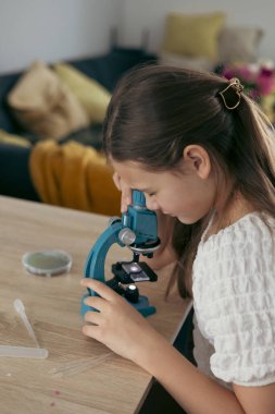 Okul çağındaki kız evde mikroskop kullanarak masada oturuyor, odaklanmış ve meraklı, evde eğitim, fen eğitimi, öğrenim.