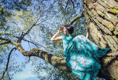 bir ağaç üzerinde uzun elbiseli güzel kız