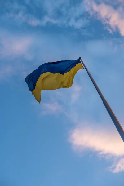 우크라이나어 깃발을 흔들며 스톡 이미지
