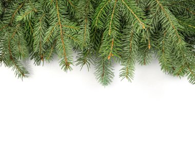 Beyaz arka planda izole edilmiş Noel ağacı dalları. Üst Manzara. Boşluğu kopyala.