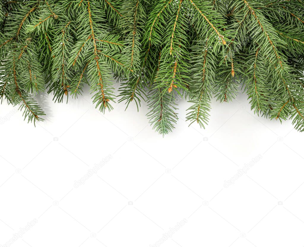 Christmas tree branches isolated on white background. Top view. Copy space.