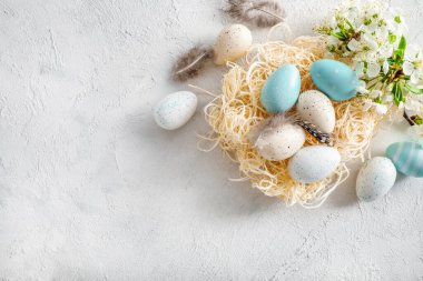 Yuvada pastel renkli Paskalya yumurtaları ve beyaz arka planda açan bahar çiçekleri. Üst Manzara. Boşluğu kopyala.