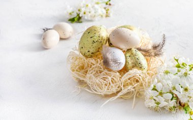 Pastel renkli Paskalya yumurtaları yuvada ve bahar beyaz arka planda çiçek açıyor..