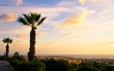 Kıbrıs Paphos kıyı şeridi, güzel gün batımı