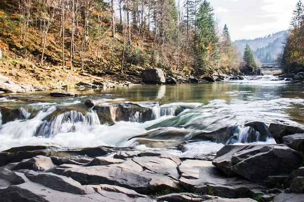 Gebirgskarpatenbach — Stockfoto