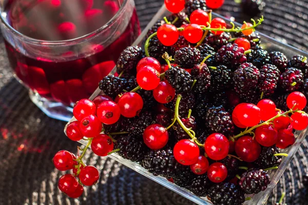 Sulu kırmızı kuş üzümü