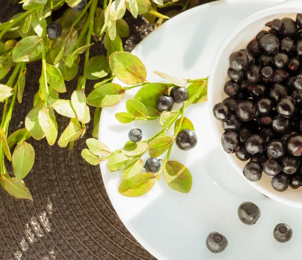 Yaban mersini Kupası