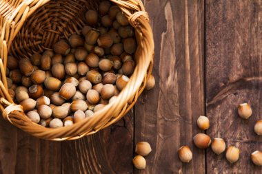 Ormanda hazineleri bir sincap üzerinden