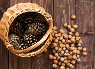 Ormanda hazineleri bir sincap üzerinden