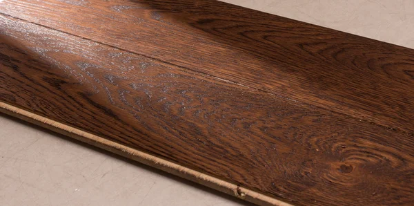 Parke ışık hüzmesi