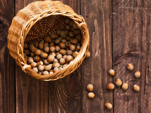 Ormanda hazineleri bir sincap üzerinden