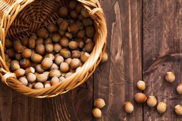 Ormanda hazineleri bir sincap üzerinden