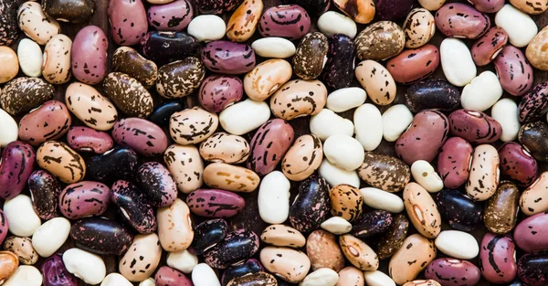 Çiğ renkli fasulye 