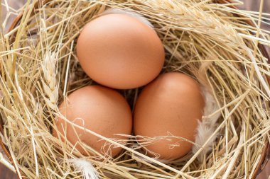 Tavuk yumurtası saman ile sepet içinde