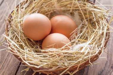 Tavuk yumurtası saman ile sepet içinde