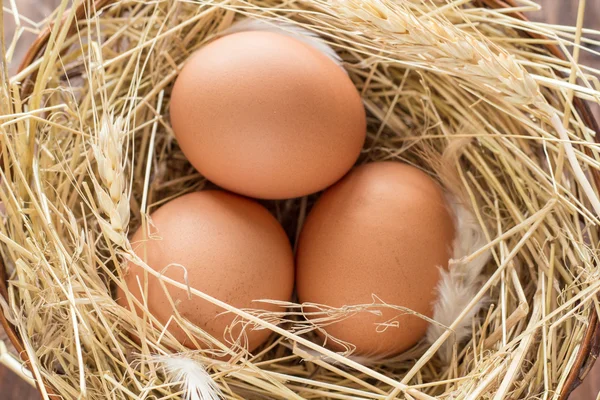 Tavuk yumurtası saman ile sepet içinde