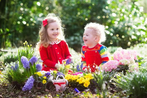 Kids planting flowers in blooming garden — Stock Photo, Image