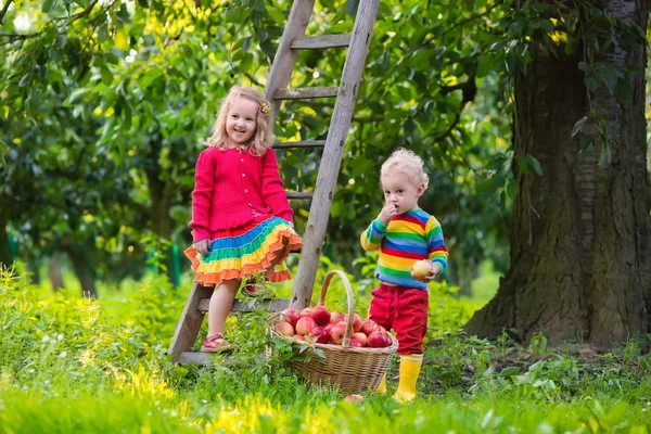 Kinder pflücken Äpfel im Obstgarten — Stockfoto