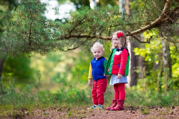 Kinderen wandelen in herfst park — Stockfoto