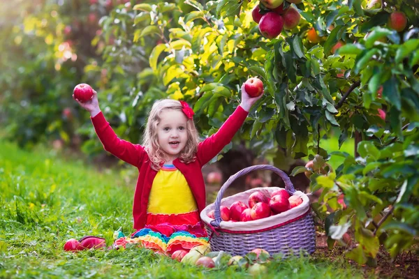 Gadis kecil memetik apel dari pohon di kebun buah — Stok Foto