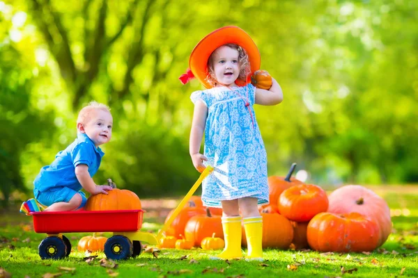 Дети на тыквенном участке Хэллоуина — стоковое фото