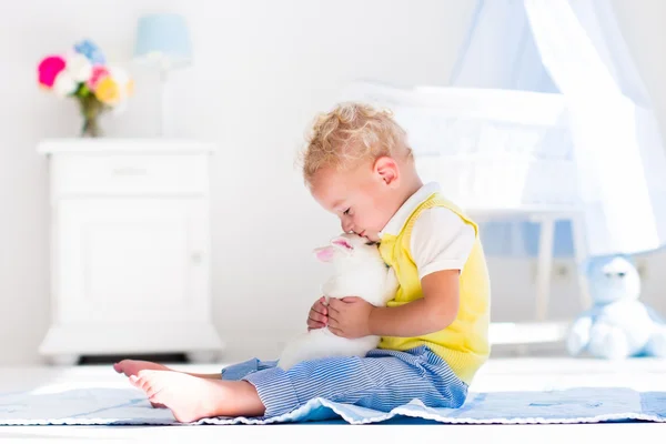 Little boy playing with rabbit pet — Stock Photo, Image