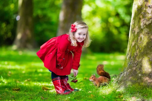 Menina alimentando um esquilo no parque de outono — Fotografia de Stock