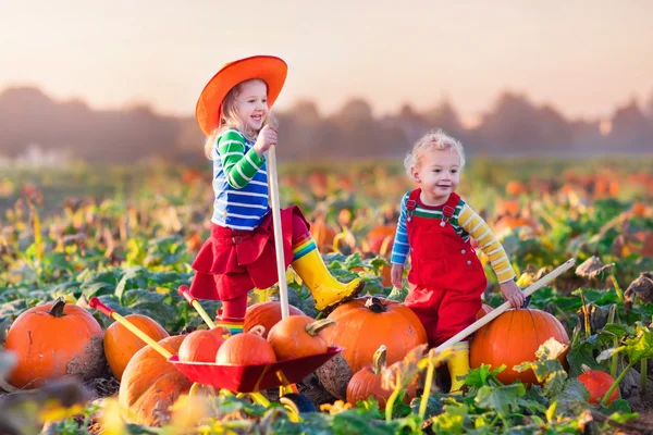 Barnen plocka pumpor på Halloween pumpkin patch — Stockfoto