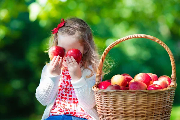 Little girl picking apples — Stock fotografie