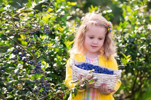 Ragazzina raccogliendo mirtillo in giardino — Foto Stock