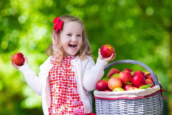 Gadis kecil memetik apel di kebun buah — Stok Foto