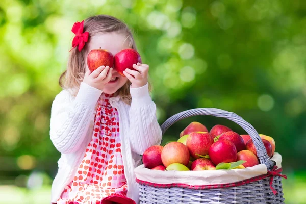 Gadis kecil memetik apel di kebun buah — Stok Foto