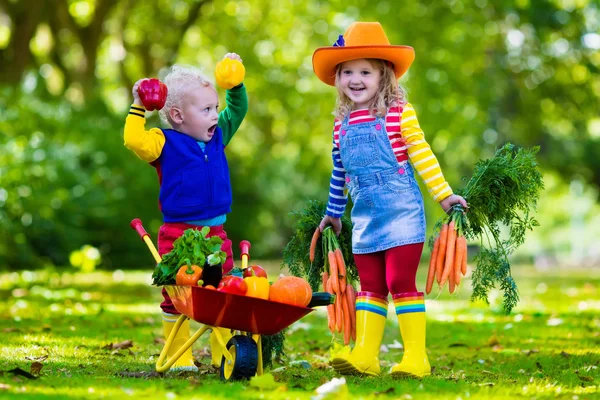 Barnen plocka grönsaker på ekologisk gård — Stockfoto