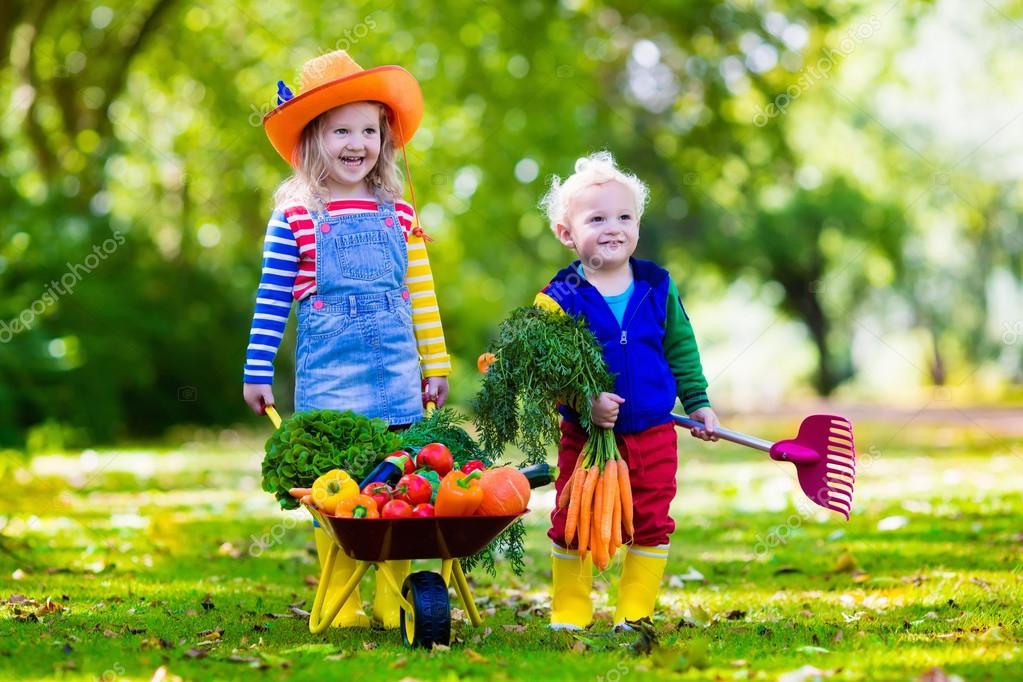 Kids picking vegetables on organic farm — Stock Photo © FamVeldman