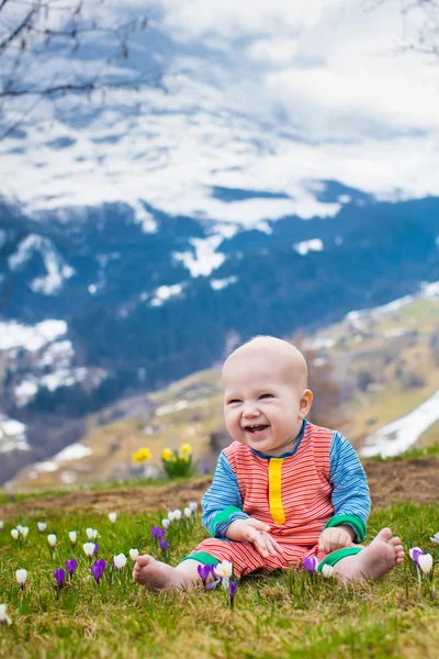 Bebé jugando con flores de azafrán en las montañas de los Alpes —  Fotos de Stock