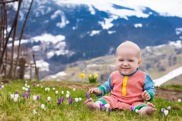 Małe dziecko bawiąc się krokus kwiat w górach Alpach — Zdjęcie stockowe