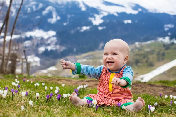 Bebé jugando con flores de azafrán en las montañas de los Alpes —  Fotos de Stock