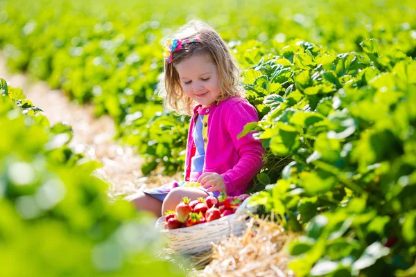 Κοριτσάκι φράουλα να πάρει σε ένα αγρόκτημα — Φωτογραφία Αρχείου
