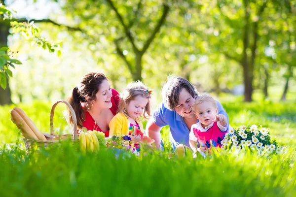 Çocuklarla olan piknik açık havada genç aile — Stok fotoğraf