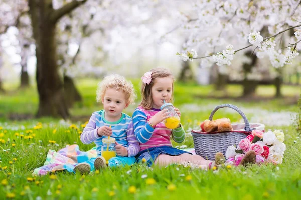 Kinderen hebben picnic in bloeiende tuin — Stockfoto