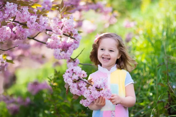 Liten flicka med körsbärsblommor — Stockfoto