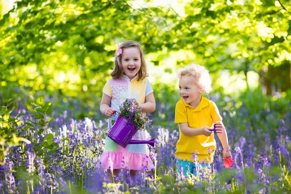 Kinderen spelen in de bloeiende tuin met bluebell bloemen — Stockfoto