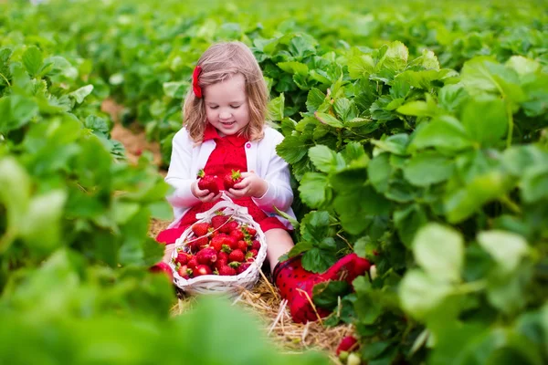 Kleines Mädchen pflückt Erdbeeren auf einem Feld — Stockfoto