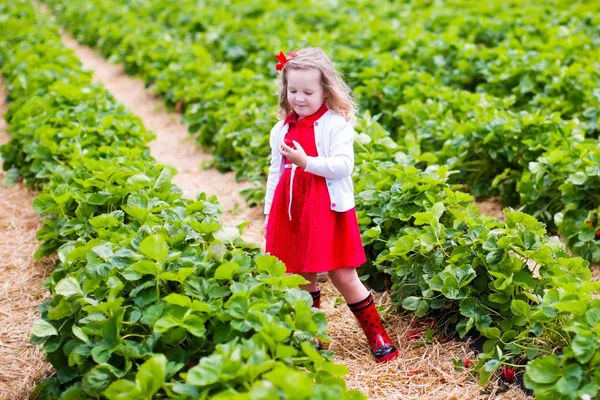 Liten flicka plocka jordgubbar på en gård — Stockfoto
