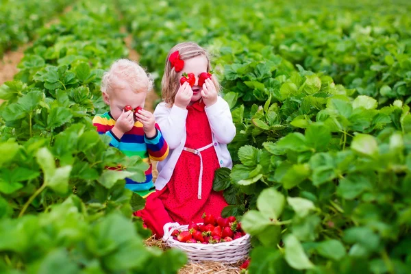 Niños recogiendo fresa en un campo de cultivo —  Fotos de Stock