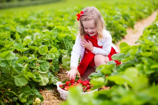 Petite fille cueillant des fraises sur un champ de ferme — Photo