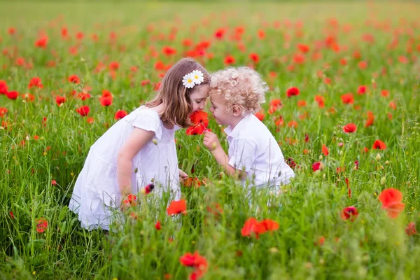 Niños jugando en el campo de flores de amapola roja —  Fotos de Stock